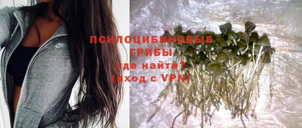 трава Балахна