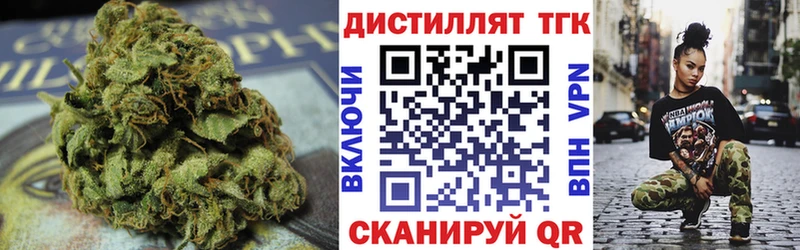 купить   Лабинск  ТГК концентрат 